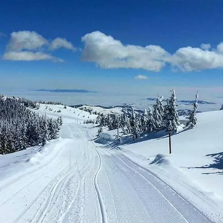 Milmari Sara P61 Apartment Kopaonik