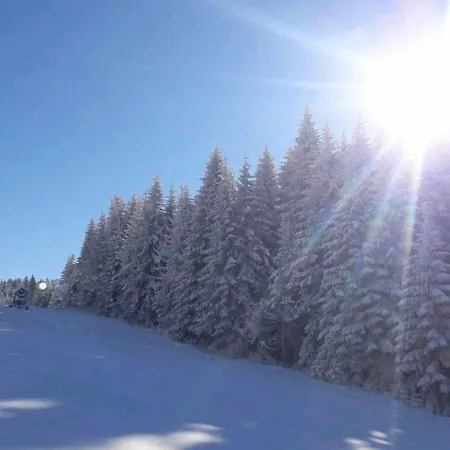 Milmari Sara P61 Apartamento